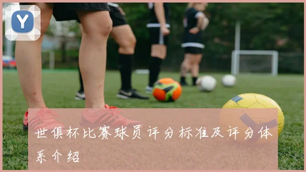 世俱杯比赛球员评分标准及评分体系介绍