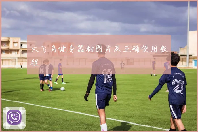 大飞鸟健身器材图片及正确使用教程