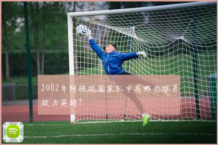 2002年阿根廷国家队中有哪些球员效力英超?