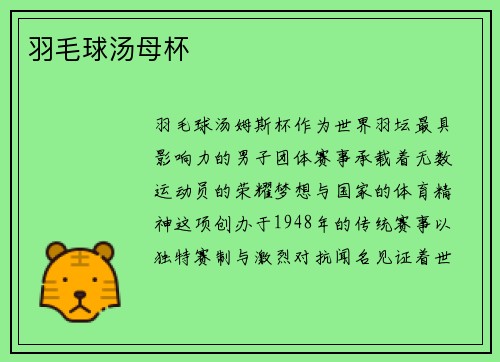 羽毛球汤母杯